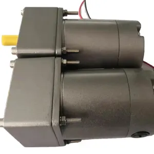 40W 24V 120RPM 200 rpm DC gear motor