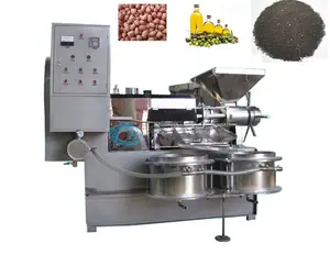 Özelleştirilmiş soğuk ve sıcak yağ basın fıstık/susam/soya fasulyesi pres makinesi