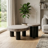 Ensemble de tables basses modernes, durables et luxueuses, en MDF écologique, style minimaliste, rondes, pour le salon