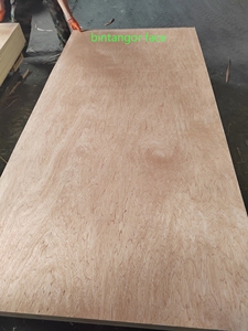 Bintangor thương mại Veneer phải đối mặt với blockboards/Khối Hội Đồng Quản trị gỗ sồi đỏ ván ép cho tủ quần áo - Product Image 5