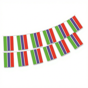 <span class=keywords><strong>Bandera</strong></span> de <span class=keywords><strong>Gambia</strong></span> al por Mayor de Nuoxin, 3x5 pies, <span class=keywords><strong>Bandera</strong></span> Nacional de <span class=keywords><strong>Gambia</strong></span> - Product Image 4