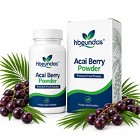 Poudre de baies d'açaï lyophilisées HBEUNDAS en vrac, poudre de fruit d'açaï naturelle de qualité alimentaire pour smoothies et boissons