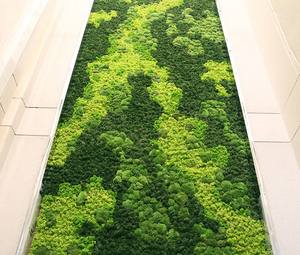 Aangepast bewaard gebleven rendier mos wandpaneel voor Home Office Decor OEM <span class=keywords><strong>moss</strong></span> gras lang met behulp van Wall Live Restaurant Hotel - Product Image 4