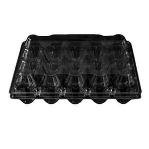 Customization Wholesale Disposable Transparent Egg Holder Clamshell Egg box 20 Cells PET Plastic Egg Tray