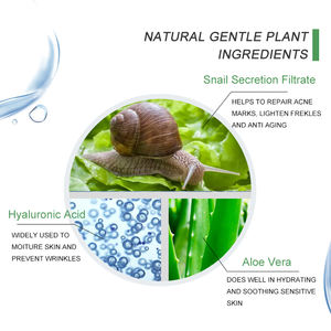 משודרג אורגני אנטי קמטים אנטי אקנה חילזון סרום פנים טיפול אלוורה חילזון תיקון הלבנת פנים סרום קולגן - Product Image 4