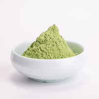 Poudre de melon amer naturel Poudre de jus de melon amer Poudre de melon amer