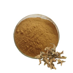 Extracto de Shiwei/Folium Pyrrosiae Linguae, extracto de alta calidad - Product Image 1