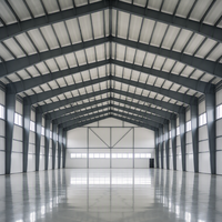 Edificio de Estructura de Acero Prefabricado Resistente a la Intemperie, Hangar de Aviones de Gran Envergadura y Alta Resistencia, Fabricante de Edificios de Aviación