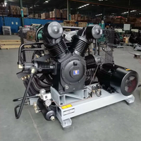 Bon prix industrie du soufflage du piston Compresseur d'air à piston haute pression 30bar