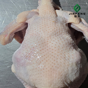<span class=keywords><strong>Pollo</strong></span> Halal, las Comidas Maestros Comienzan Aquí - Product Image 4