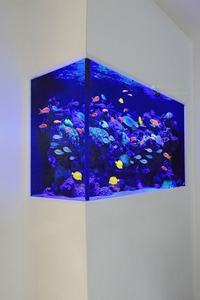 <span class=keywords><strong>Betta</strong></span> Aquarium Aquário Aquário para <span class=keywords><strong>Betta</strong></span> <span class=keywords><strong>Fish</strong></span> Aquário para <span class=keywords><strong>Betta</strong></span> <span class=keywords><strong>Fish</strong></span> - Product Image 6