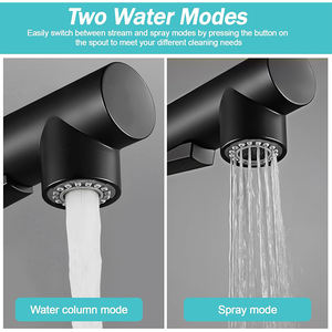 Grifo de Cocina Negro Extraíble, Moderno, de Acero, para Lavabo, Bañera, Ducha, Prelavado, Bidé, con Rociador Extraíble - Product Image 6