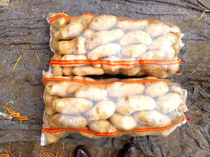 El nuevo material de la bolsa tejida transparente se puede personalizar para alimentos, cebollas, patatas y otras verduras - Product Image 5