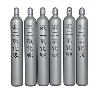 Cilindro <span class=keywords><strong>de</strong></span> <span class=keywords><strong>Gas</strong></span> CO2 <span class=keywords><strong>de</strong></span> 20L, Color Personalizable, Presión Estable, Almacenamiento, Soldadura, Sistemas <span class=keywords><strong>de</strong></span> Bebidas, Seguridad contra Incendios - Product Image 2