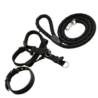 Personnalisable Trois Ensembles Colliers Pour Animaux De Compagnie Laisses Harnais Chien Marche Chaîne Poitrine Harnais et Corde avec Confortable Pet Lec