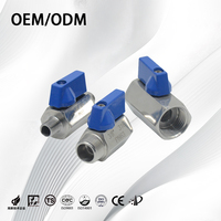 Mini-vanne à boisseau sphérique en acier inoxydable 304/316L, filetage femelle BSP NPT de 1/4 à 1 pouce pour systèmes d'eau
