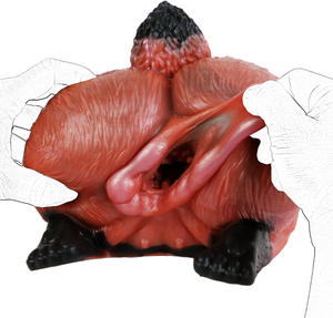 Geeba 3d Siliconen Pussy <span class=keywords><strong>Vagina</strong></span> En Kont Mannelijke Masturbator Half En Volle Pop Zak Kunstmatige <span class=keywords><strong>Vagina</strong></span> Seksspeeltje Voor Mannen - Product Image 5