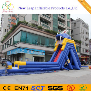 <span class=keywords><strong>Giant</strong></span> Thương Inflatable Đôi Ngõ Trượt Nước Với Hồ Bơi Cho Người Lớn - Product Image 4