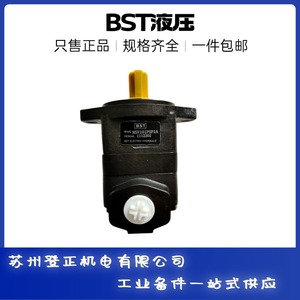 Bomba Hidráulica Bst Sv11c 32 35 R01 C1 de Alta Presión con Doble Paleta para Aplicaciones de Impulso - Product Image 4