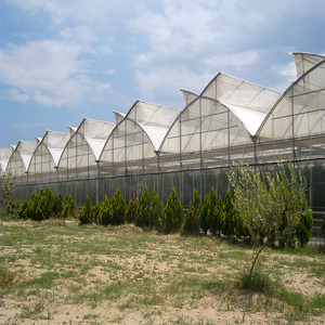 Serrated Roof Multi-Span Plastic Film <strong>Greenhouse</strong> for Vegetables Flowers, Tomato Cucumber Lettuce Growth, <strong>Poly</strong> Tunnel - Product Image 1