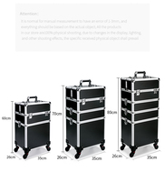 Nouvelle valise de beauté professionnelle multi-couches, grande capacité, boîte à maquillage, valise de voyage à roulettes décontractée avec roues