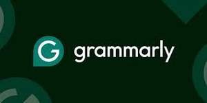 Grammarly 13 6 12 mois d'activation en ligne en stock - Product Image 2