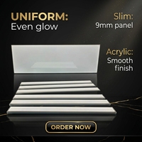 Panneau de guidage lumineux en acrylique CE RoHS LGP, diffuseur mince de 9 mm pour affichage intérieur/extérieur en magasin