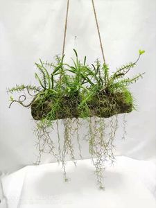 EG-A139 artificielle plante verte fougère herbe haute qualité décorations suspendues dans l'air décoration de <span class=keywords><strong>la</strong></span> maison série forestière - Product Image 5