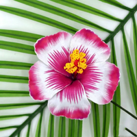 Pinces à cheveux multicolores effet ombré en mousse Hibiscus, accessoire floral pour cheveux, idéal pour la danse Hula, les mariages à la plage et la décoration capillaire féminine