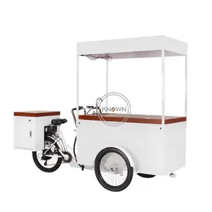 OEM Mobil Sepeda Es Krim Klasik Roda Tiga Elektrik Keranjang Makanan Jalan Sepeda Jus Dingin dengan Kotak Es Freezer