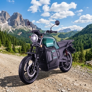 Motocicleta Eléctrica de Litio de 72V 3000W para Adultos, Velocidad 80km/h, Fabricada en China, Personalizable No dude en contactarnos si - Product Image 1