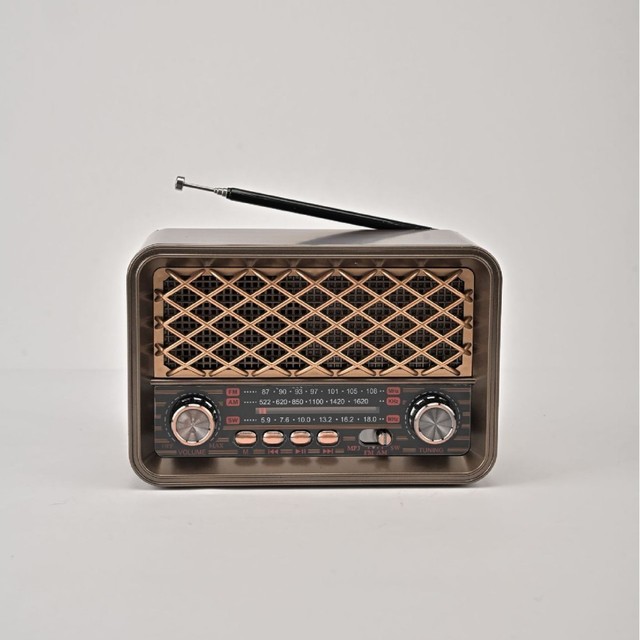 Rechargeable Solar Panel R-2055BT Retro Vintage Wooden Portable Antenna Hi Fi Speaker Am Sw Fm Radio