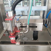 Machine de remplissage de sauce tomate/ketchup en bouteilles/bocaux en verre/plastique, machine de remplissage à pompe rotative servo monoposte de type traçant