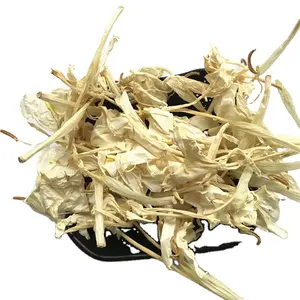 Ye jiang hua fleur de gingembre blanc séchée en vrac, fleurs de coronarium hedychium pour le thé