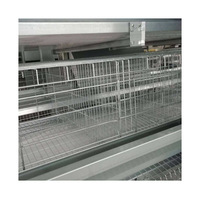 Offre Spéciale Un Type Cage Poulettes Pour Poussins d'un Jour Avec Feeder Buveur Et Fumier Plaque Collectrice