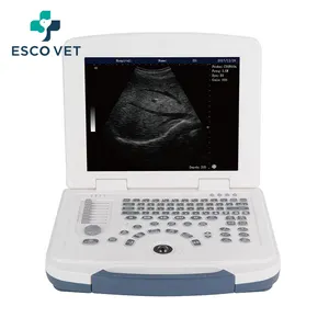 Máquina de ultrasonido de caballo portátil Escáner equino Imagen de alta definición Mare Embarazo Máquina de ultrasonido veterinario