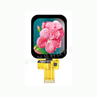 Modul Layar LCD TFT IPS 1,69 Inci 240*280 ST7789T3 Antarmuka MCU SPI dengan Panel Layar Sentuh Kapasitif CTP untuk Jam Tangan Pintar