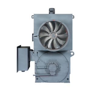 มอเตอร์อะซิงโครนัสแรงดันสูง YPKK 2 โพล 200KW~1800KW IP55 3000 รอบต่อนาที 6000V มอเตอร์ไฟฟ้ากระแสสลับ ปรับความเร็วรอบด้วยระบบควบคุมความถี่ - Product Image 2