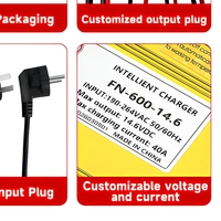 Chargeur de batterie au lithium haute puissance FN-600-58.4V10A, unité de stockage d'énergie, équipement de charge dédié au phosphate de fer et de lithium