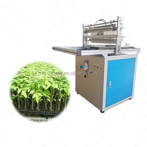 automatic tray seeder onion seed planter petunia seeds germination machine
