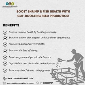Système probiotique biofloc pour aliments sains pour les crevettes et les poissons - Product Image 1