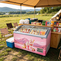 Congélateurs Vitrine Commerciaux OEM, Congélateurs Coffres, Congélateurs à Glaces, Réfrigérateurs pour Supermarchés et Magasins de Proximité 450L