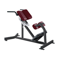 Banc abdominal de sécurité en acier commercial de haute qualité pour la salle de sport, équipement de fitness, chaise romaine
