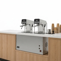 Machine à thé Chai semi-automatique électrique à double groupe, qualité commerciale, chaudière en acier inoxydable, pression 9 bars, pour les salons de thé à bulles