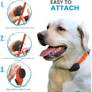 Gracie To The Rescue Nylon <b>Pet</b> Trainer <b>Collar</b> Adjustable Pink Red Blue All Breed Sizes - Product Image 4