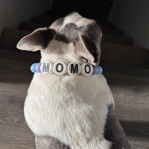 DIY Name Wasserdichtes Mädchenhaftes Süßes Party-Accessoire Ausgefallenes Designer-Halsband Strass Bubblegum-Perlen Hundehalsband - Product Image 2