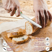 Meilleures ventes : Ensemble de couteaux à pain et à steak en acier inoxydable pour cuisine, avec manche en plastique, couteau à tomate, couteau de table occidental multifonctionnel