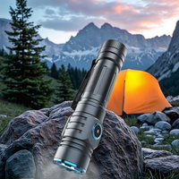 Lampe torche tactique personnalisable 2500LM, longue portée, rechargeable par Type-C, étanche IP68, en aluminium, LED, pour le camping et les situations d'urgence