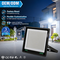 Projecteur LED portable étanche IP66 en aluminium et verre, 10W, 30W, 50W, 100W, 200W, 300W, alimentation DC 12V 24V AC 85V 265V, pour extérieur