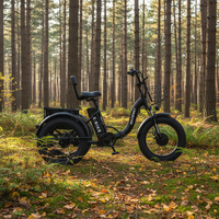 Triciclo Eléctrico de Fábrica para Adultos, Garantía de 2 Años, Marco de Acero de 6 Velocidades, Frenos de Disco (Motor y Batería Personalizables Disponibles)